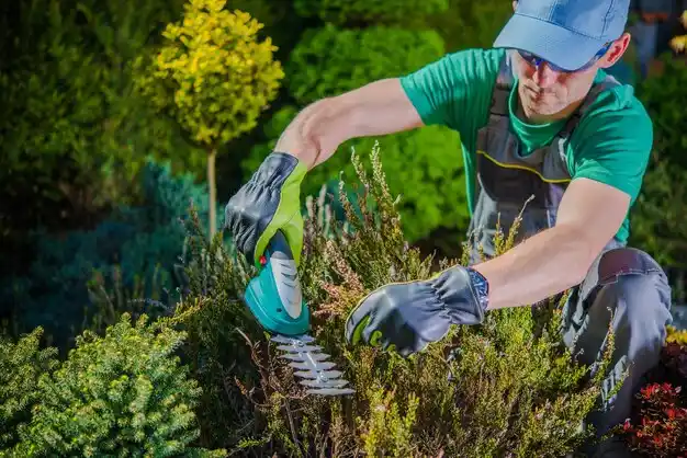 landscaping services Rushsylvania